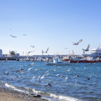 Excursión a la isla de Mykonos (grupo pequeño)